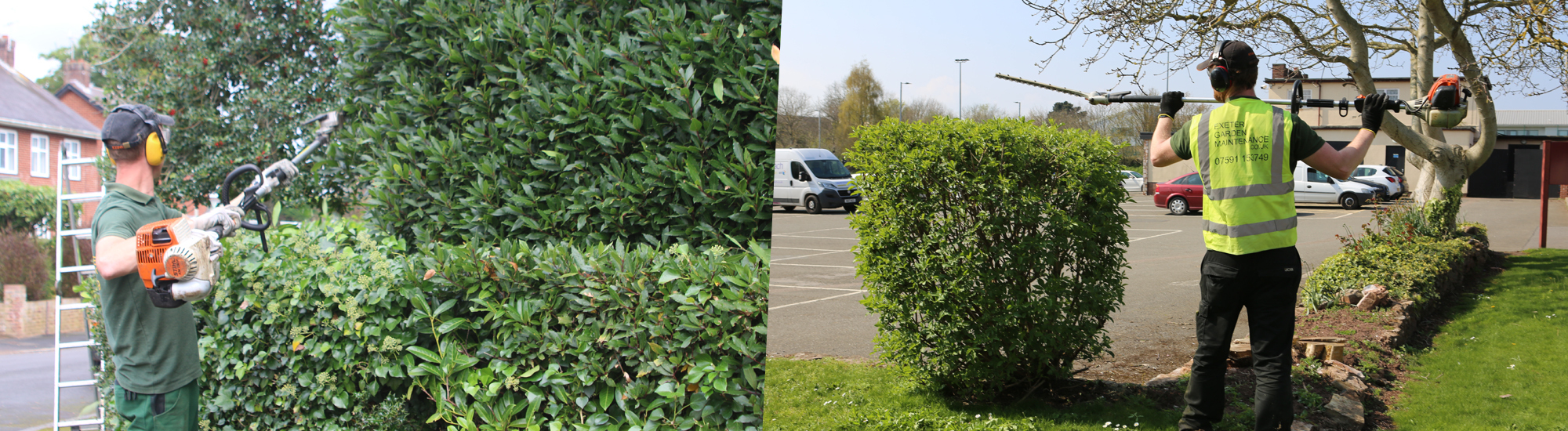 Commercial Gardeners Exeter