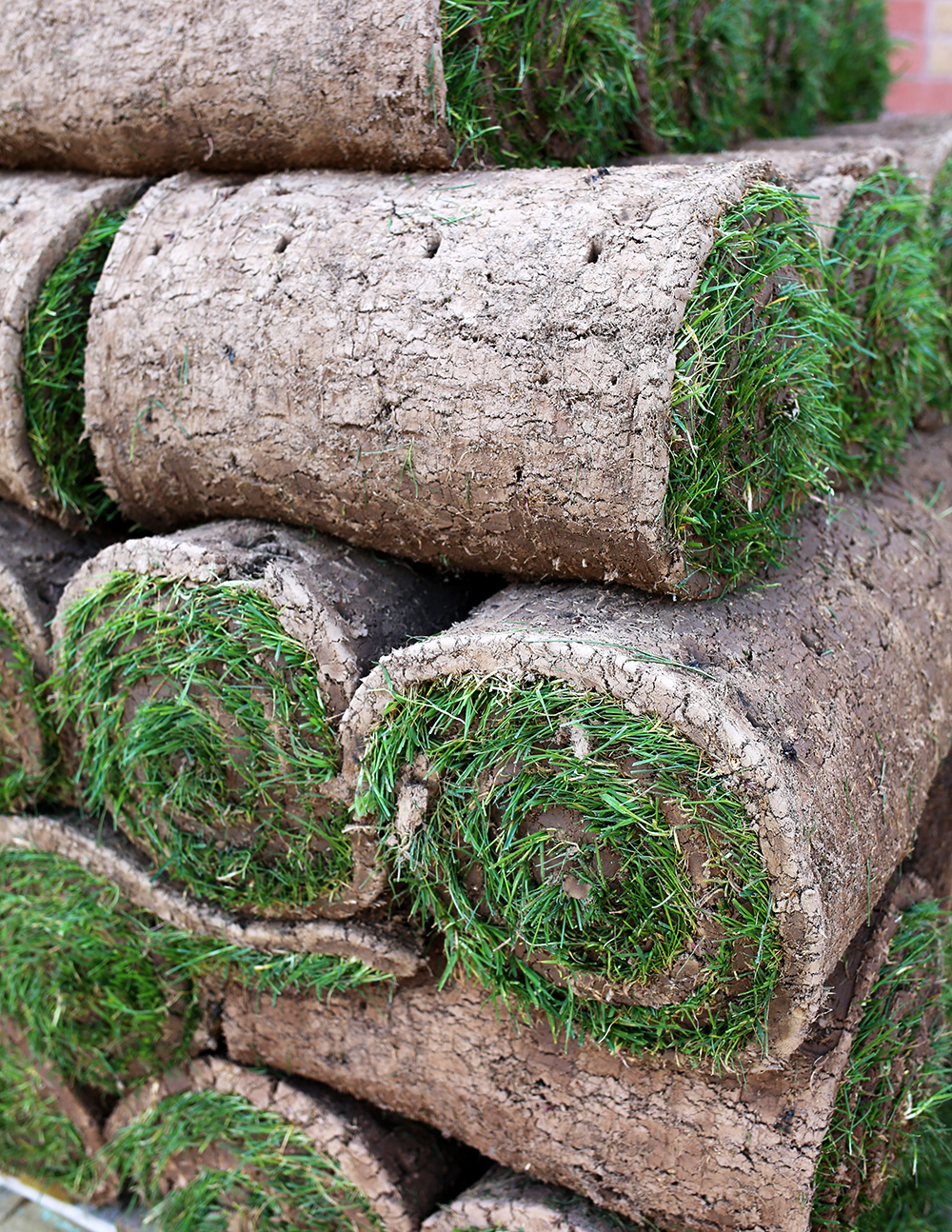 Exeter Gardening
