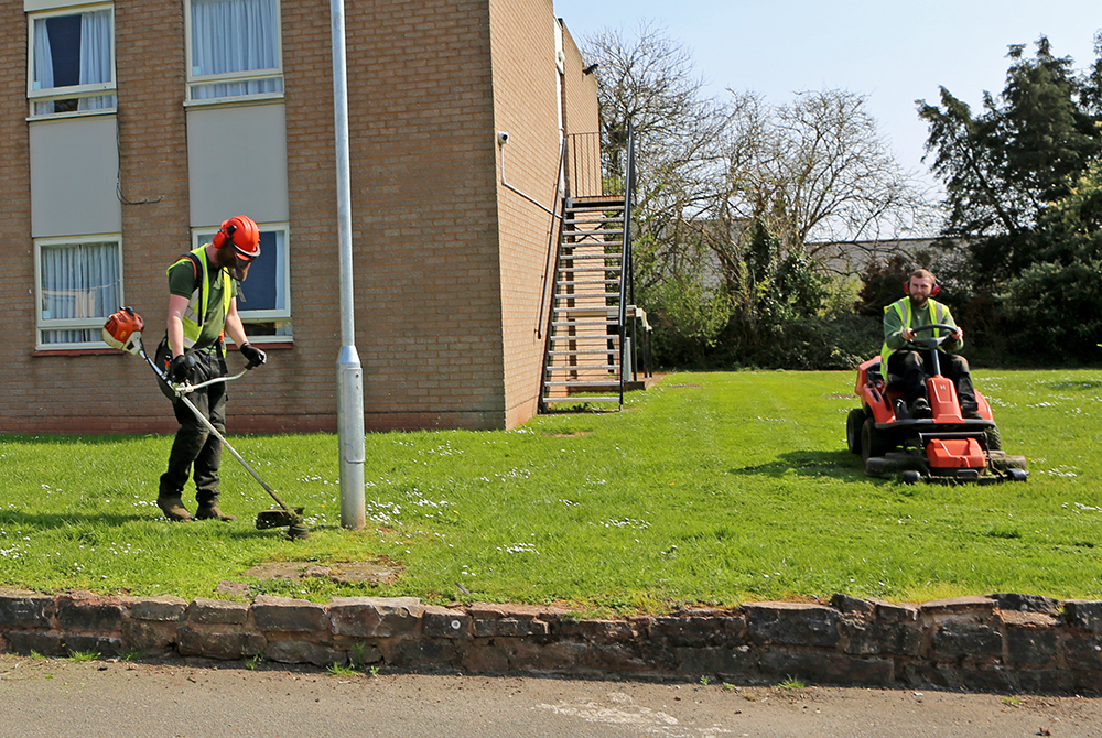 Exeter Gardening