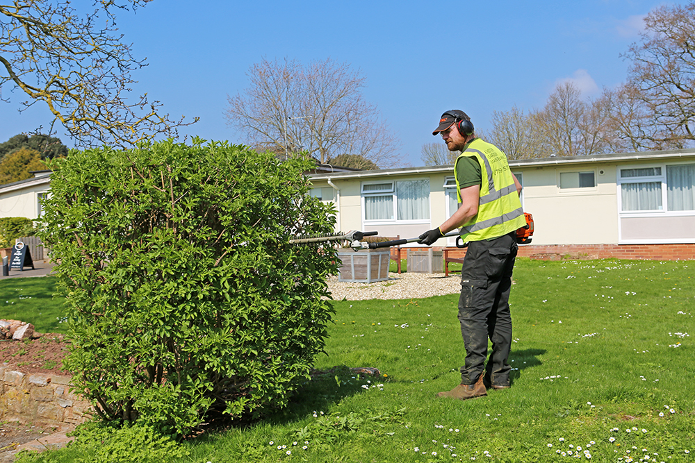 Exeter Gardening