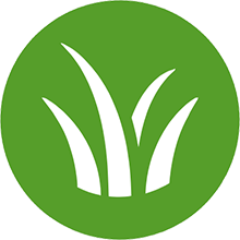 Garden Maintenance Exeter