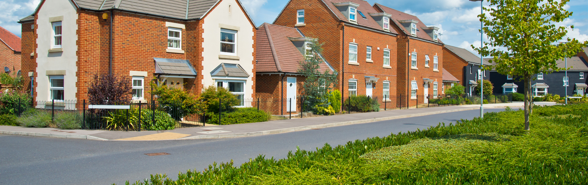 Garden Maintenance Exeter